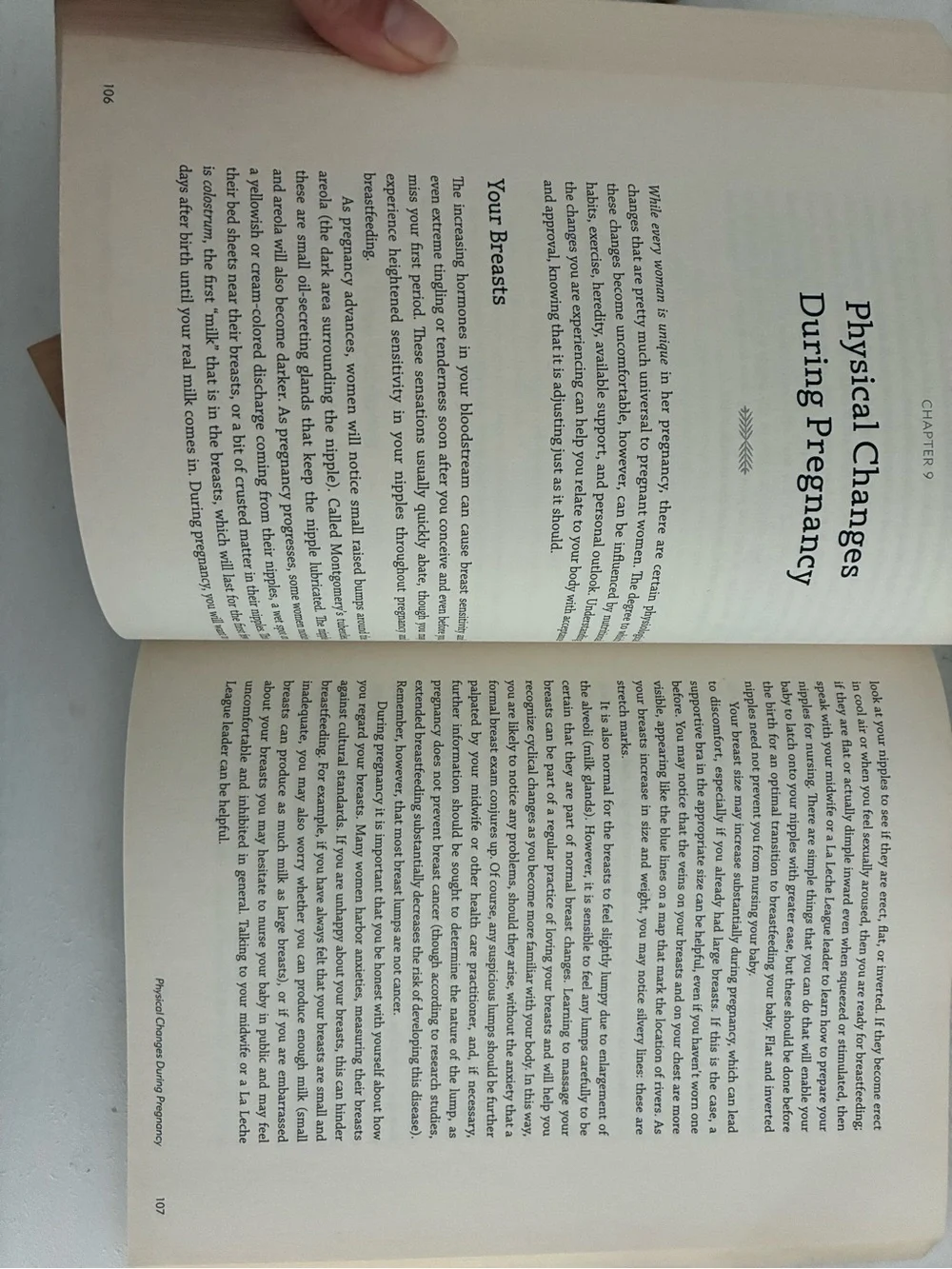 The Natural Pregnancy Book - 3rd Ed - Aviva Romm